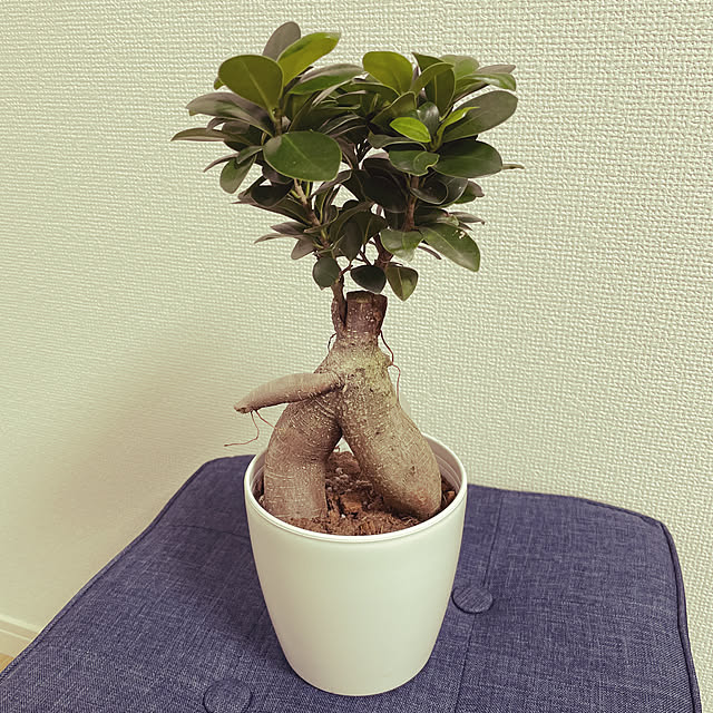 Tomoyaさんの実例写真
