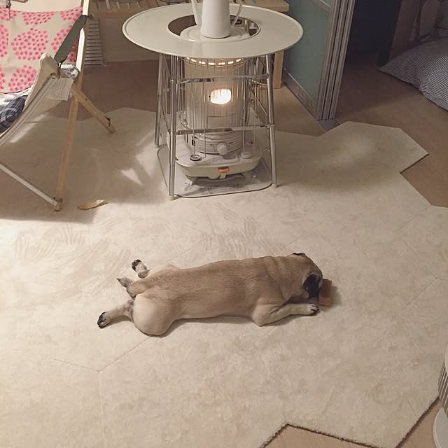YUIさんの実例写真