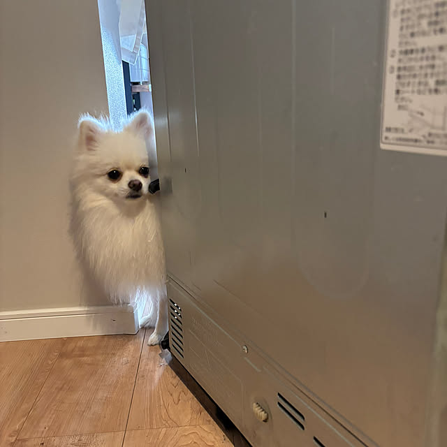 uninekoさんの実例写真