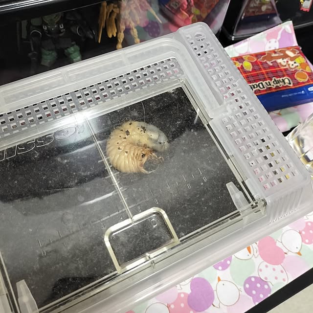 emiさんの実例写真