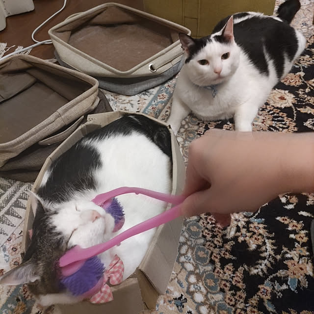 yuuさんの実例写真
