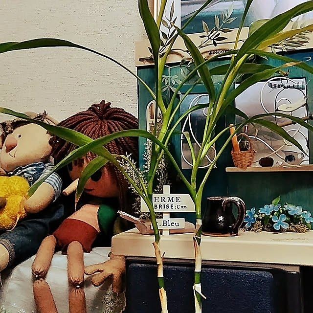 hiroさんの実例写真
