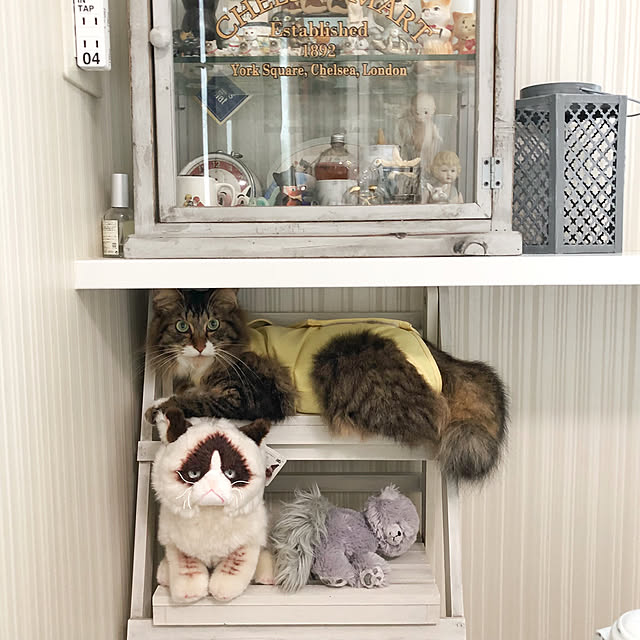 yuchiさんの実例写真