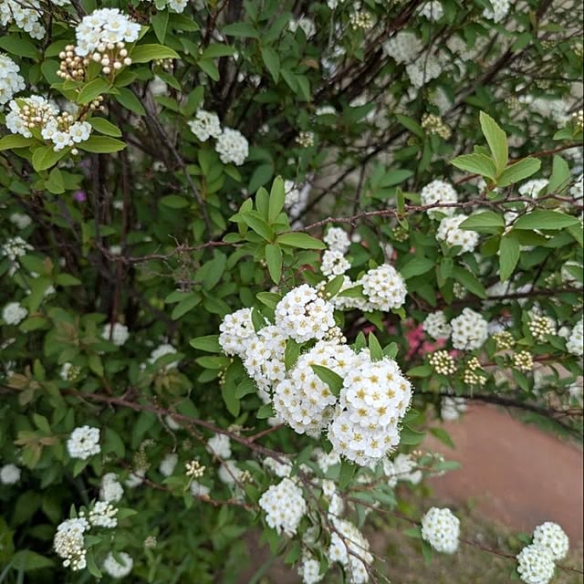 minnieさんの部屋