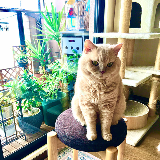 naokoさんの部屋