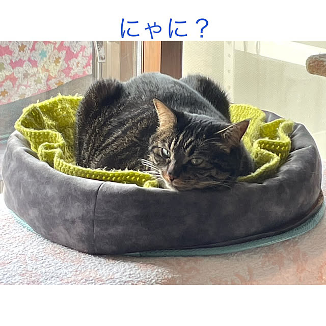 momocchiさんの部屋