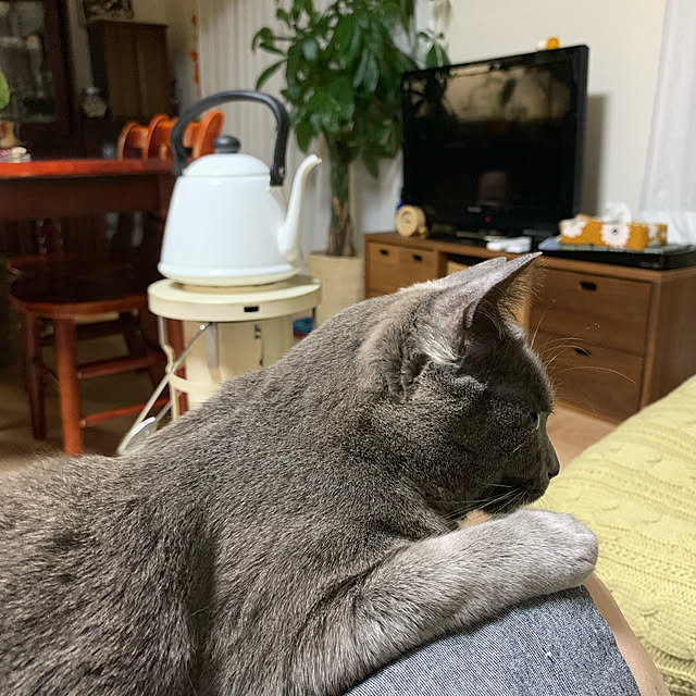 73さんの実例写真