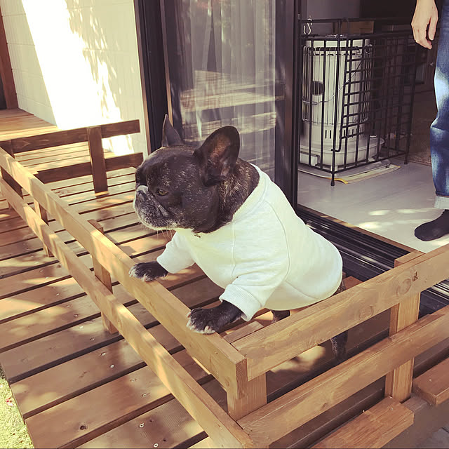 yattamanさんの実例写真