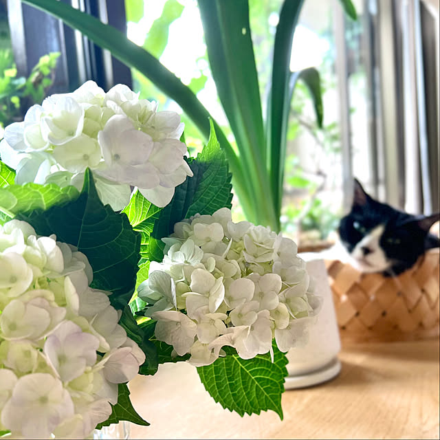 pooさんの部屋