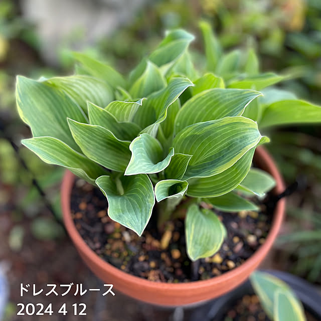 buchiさんの部屋