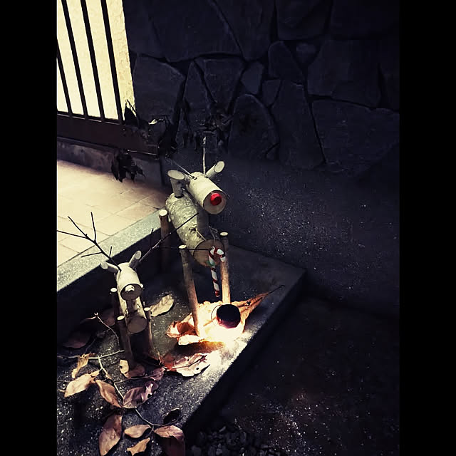 kougaitaさんの実例写真
