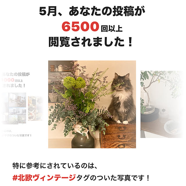 壁/天井/北欧インテリアのインテリア実例 - 2025-06-07 21:15:40