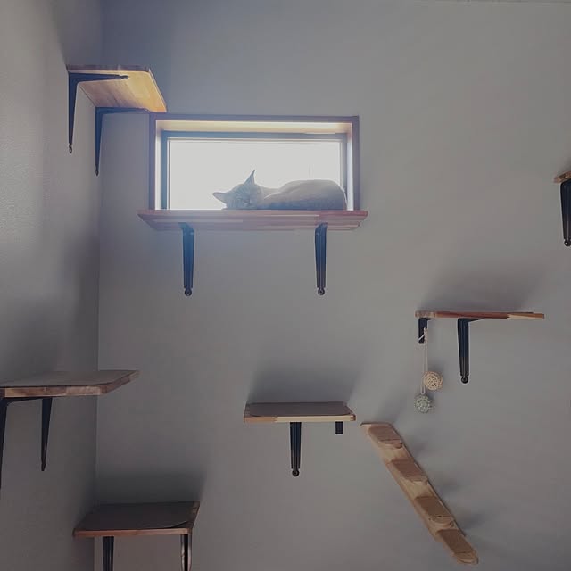 Atelier_tamakiさんの部屋