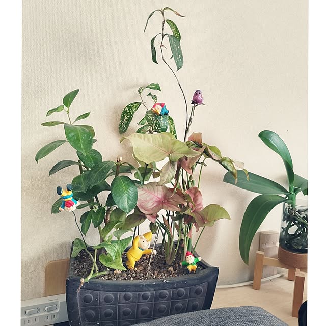 akiwaka-roomさんの実例写真