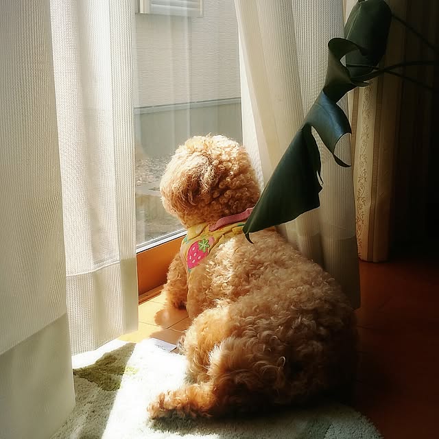 trinity0817さんの実例写真