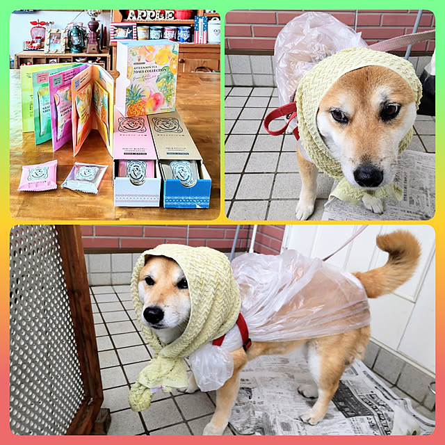 nanaさんの実例写真