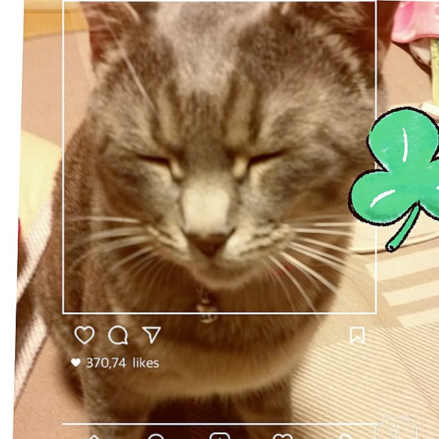 oyumiさんの実例写真