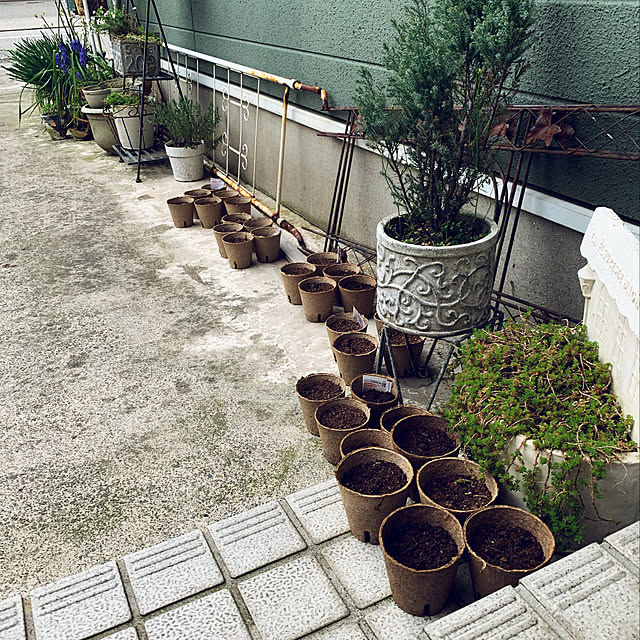 Ayaさんの実例写真