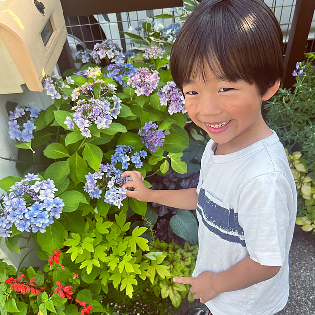 hinamamaさんの部屋