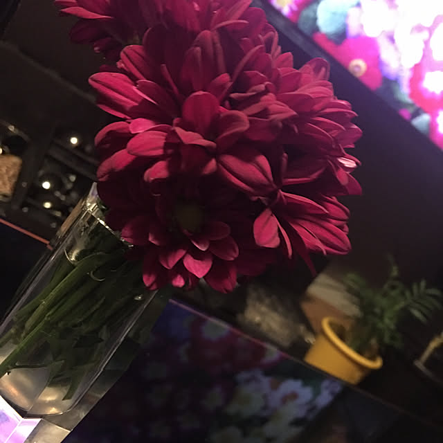 shichanさんの部屋