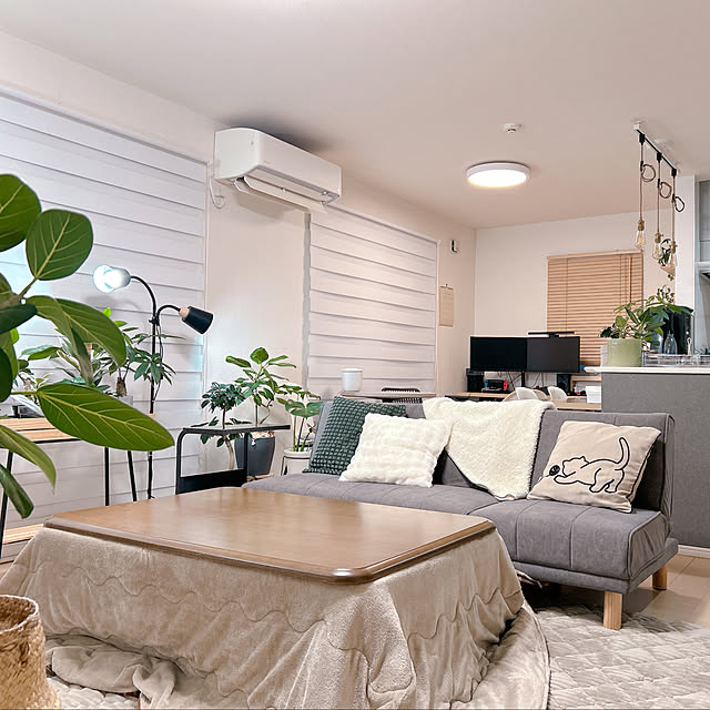 pi-popaさんの実例写真