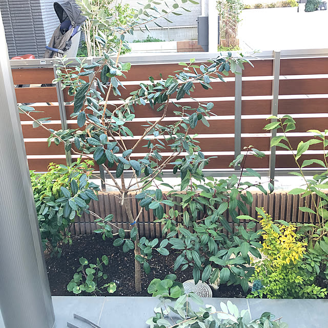 Rororiさんの部屋