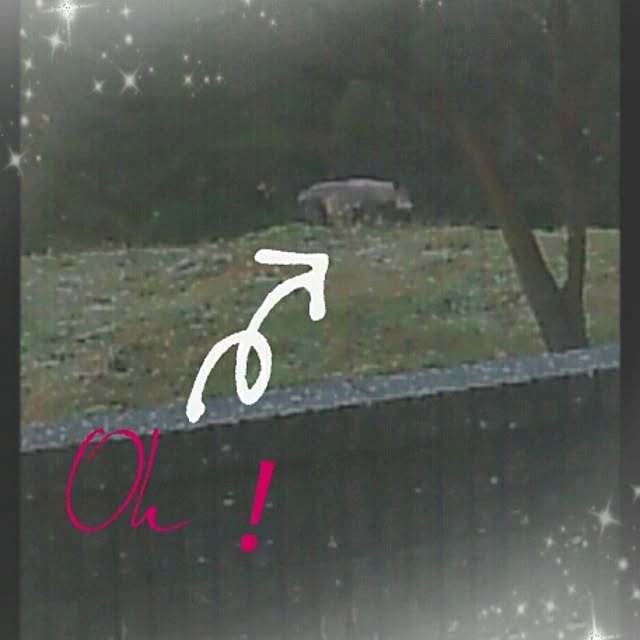 aiuekkoさんの実例写真