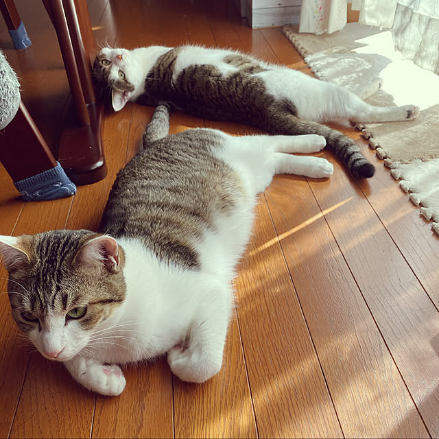 Lufuさんの実例写真