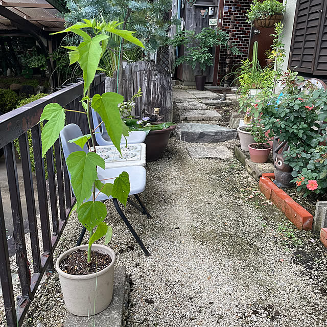 shin0719さんの実例写真