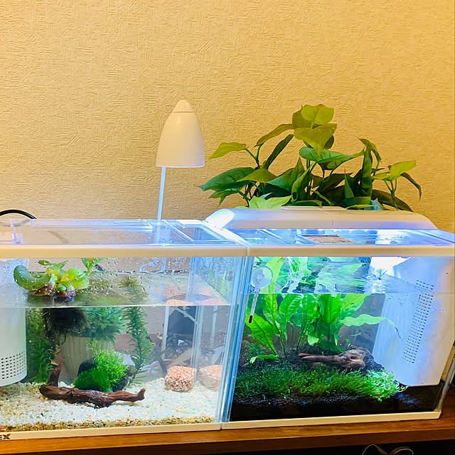 Nazunaさんの実例写真