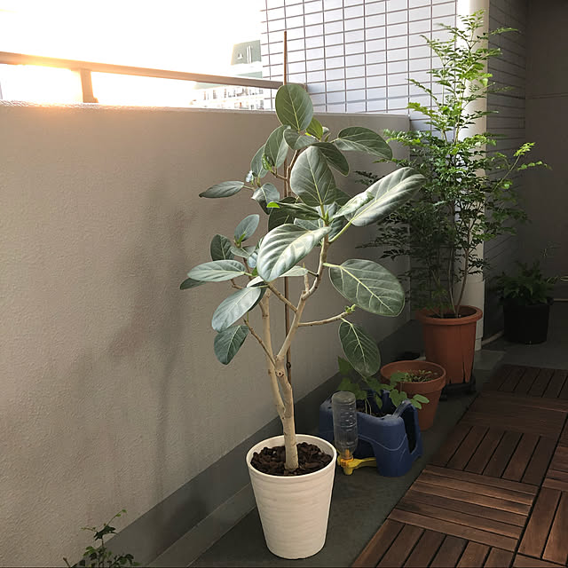 sumisumiさんの実例写真