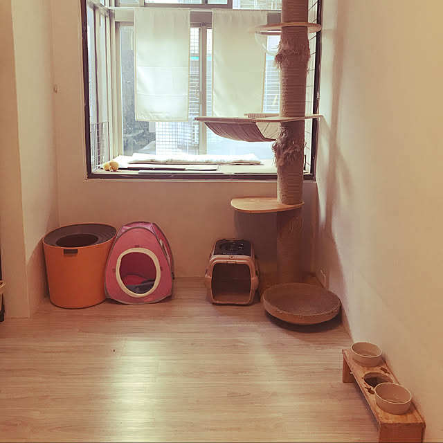 DIY/リビングのインテリア実例 - 2020-11-04 16:16:56