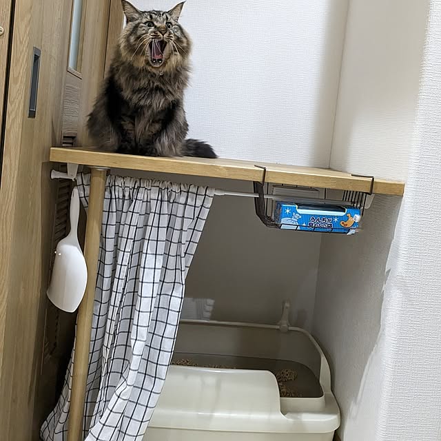 sayan_0321さんの実例写真