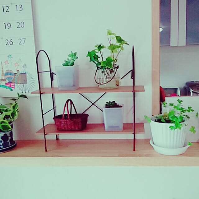 mintさんの実例写真
