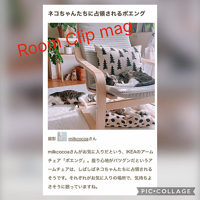 milkcocoaさんの実例写真