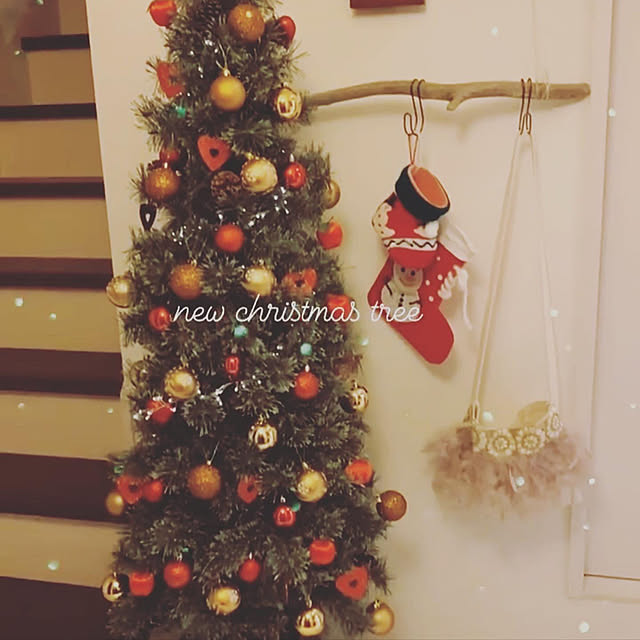 流木/クリスマス/クリスマスツリー/子供のいる暮らし/玄関/入り口のインテリア実例 - 2022-01-16 10:56:19