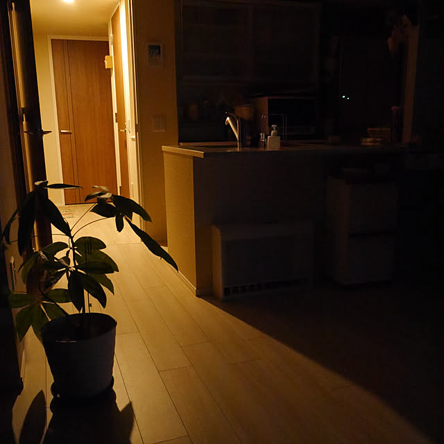 mimiさんの実例写真