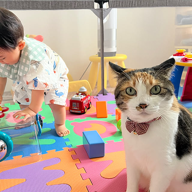 Misakiさんの実例写真