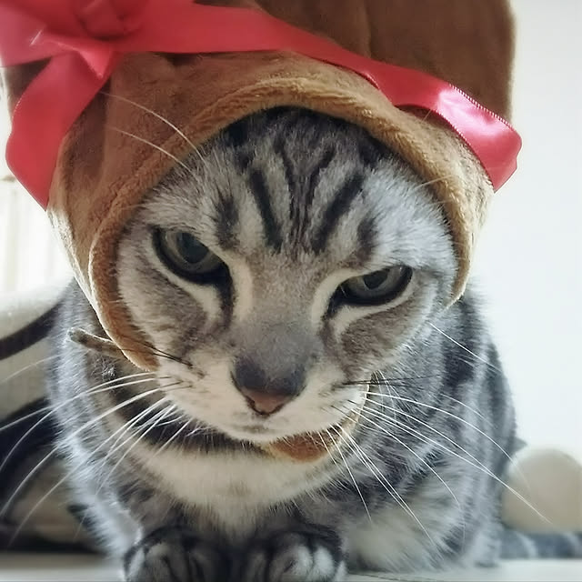 yuri.sさんの実例写真