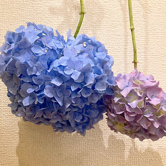 sunabaさんの部屋