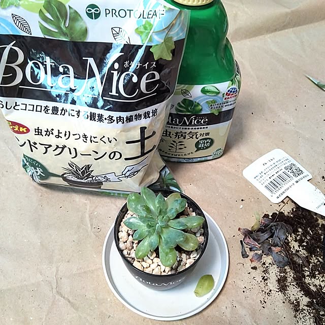h.t.さんの実例写真