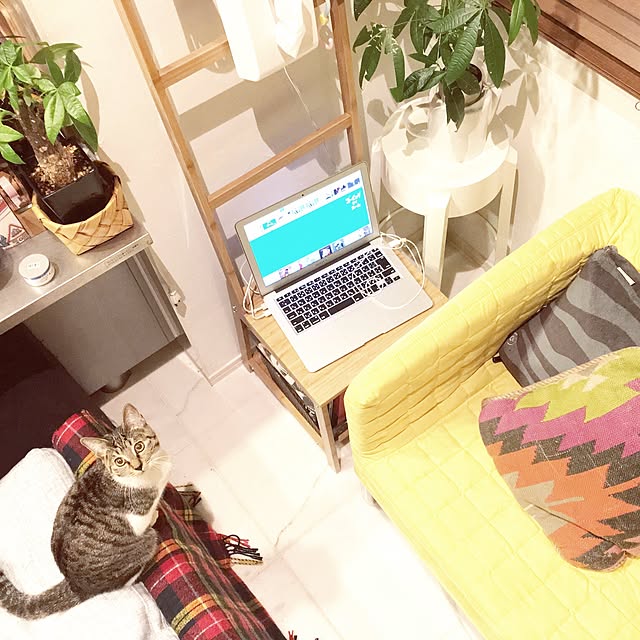 nauy2525さんの実例写真