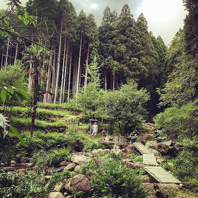 実例写真