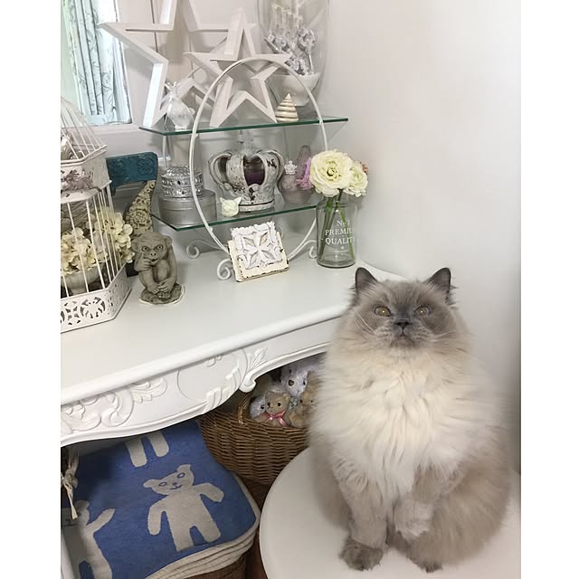 yuchiさんの実例写真