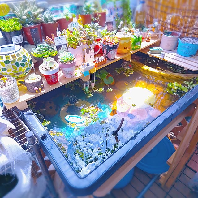 mariaさんの実例写真