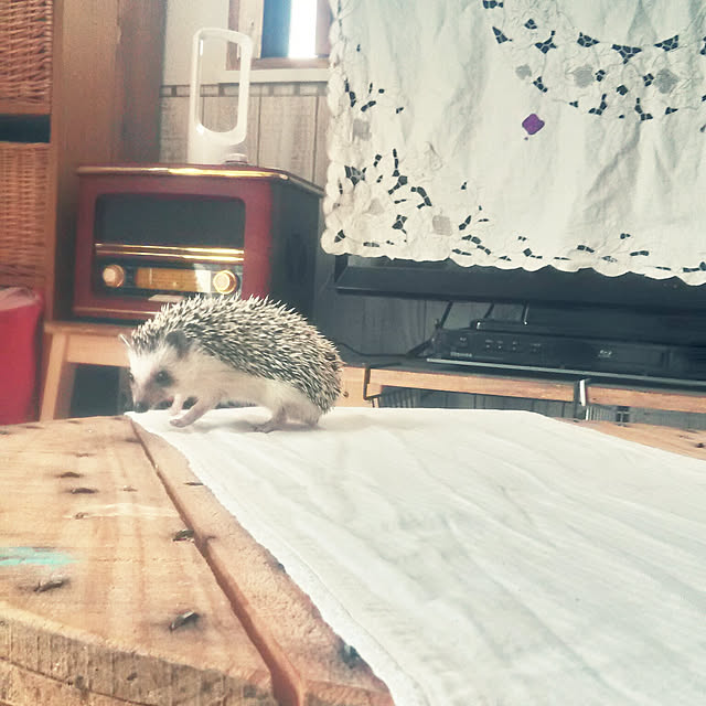 hirariさんの実例写真