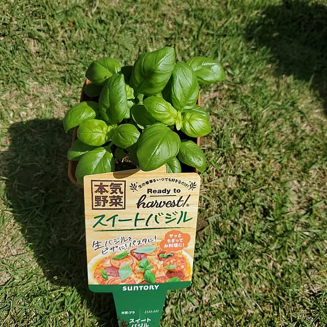 ramuramuさんの部屋