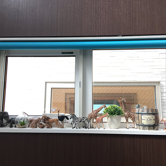 実例写真