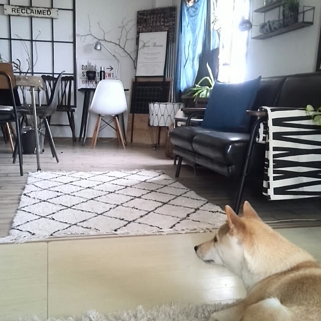 kさんの実例写真