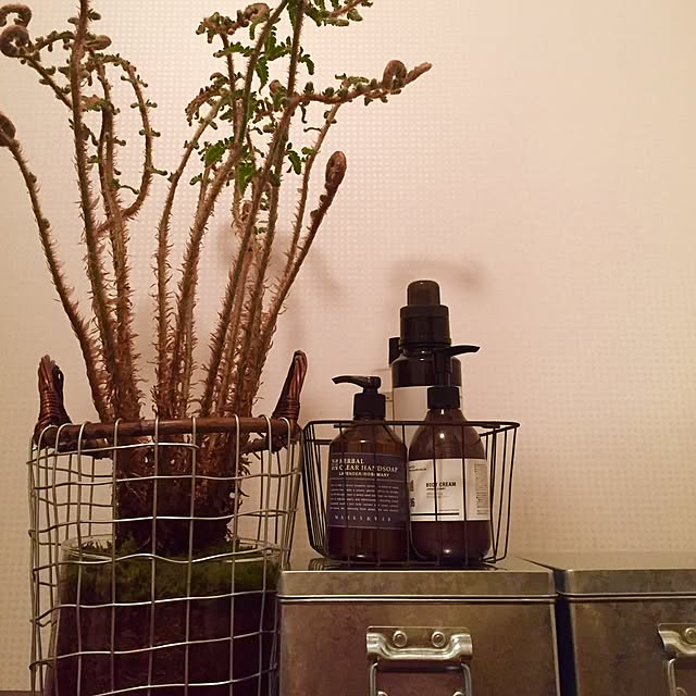 shizarさんの実例写真